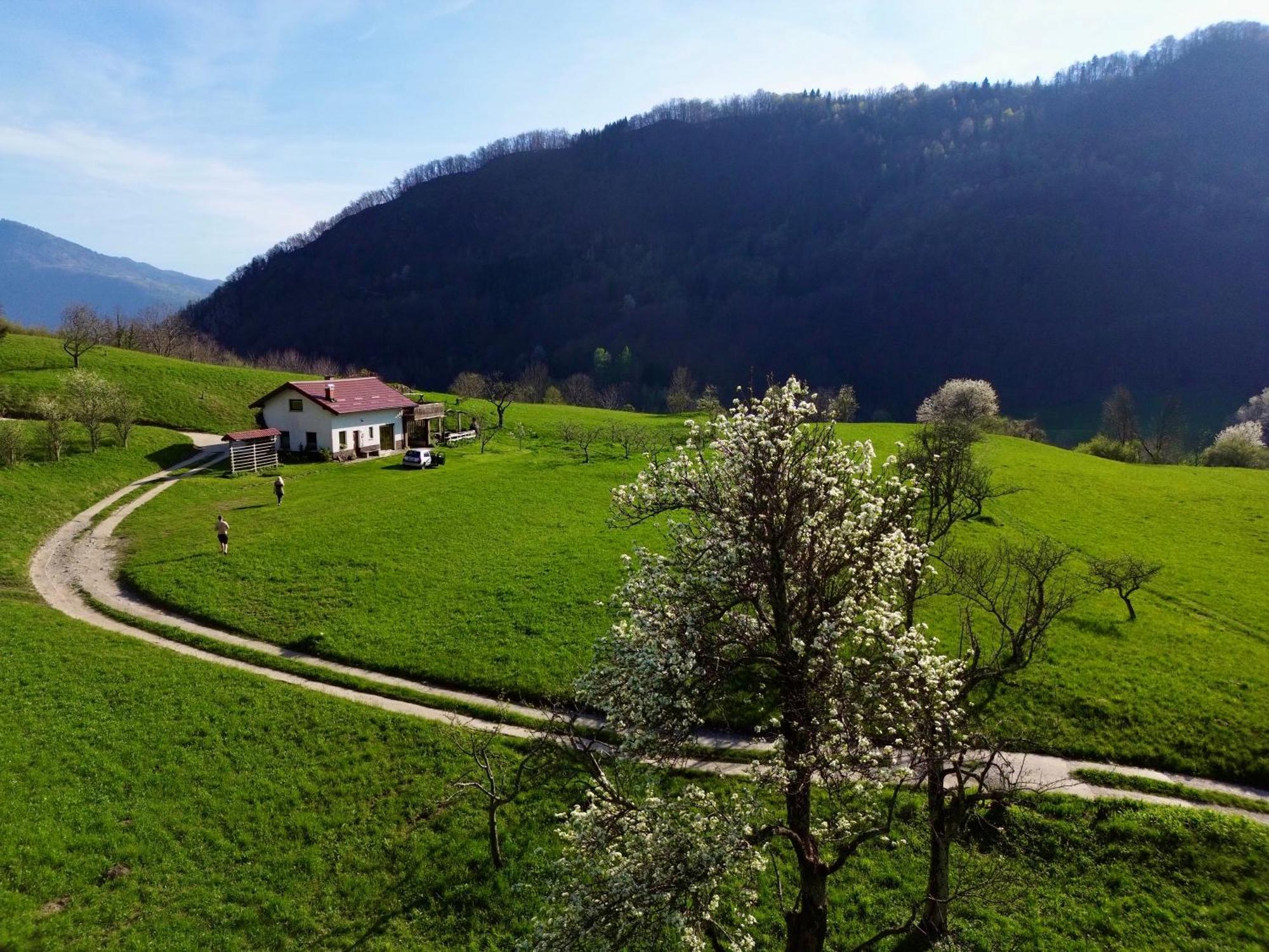 Holiday Home Krn&Relax Kobarid Buitenkant foto