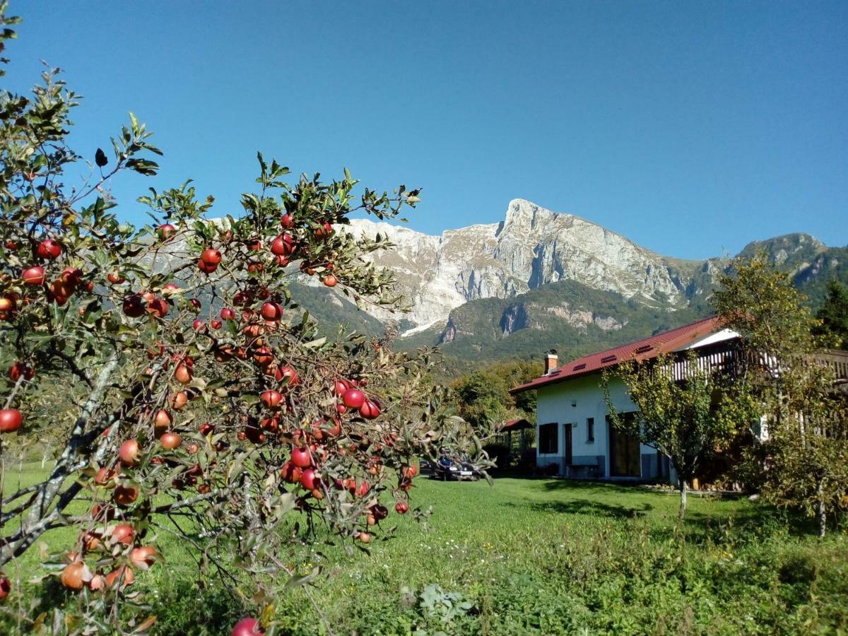 Holiday Home Krn&Relax Kobarid Buitenkant foto